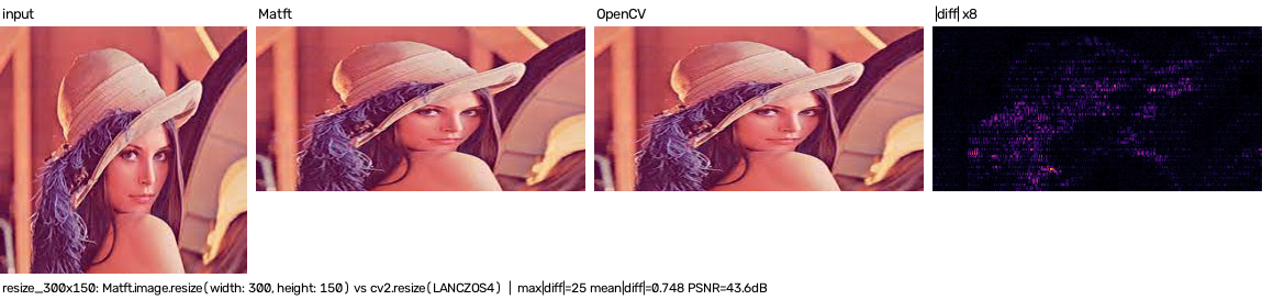 resize