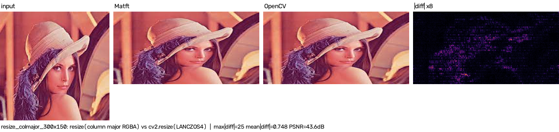 resize column major