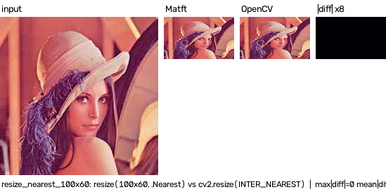 resize nearest